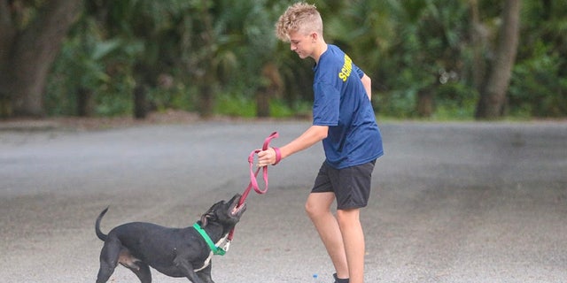 The George Steinbrenner boys cross-country team, known as Boss Cross, has been running alongside adoptable pups since 2017.