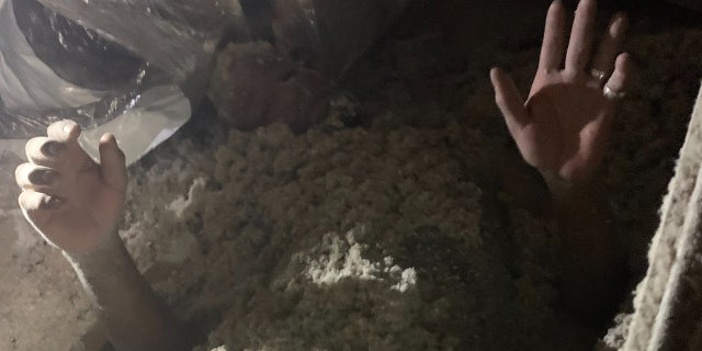 Lee County Sheriff's Office shared images of 44-year-old Bruce Davis who was found under a pile of insulation is a home's attic.