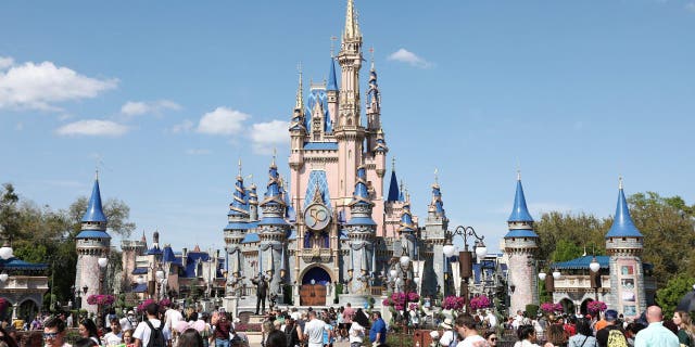 A crowd in front of the castle at Disney World, which is at war with DeSantis