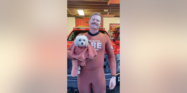 The Long Beach Fire Department took in Tofu the dog after his rescue — and made a Facebook post praising the lifeguard who saved the pup.