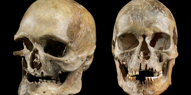 Una nueva investigación muestra dónde sobrevivieron los primeros humanos en la Edad de Hielo de Europa 4 Los restos encontrados en Europa que datan de la Edad de Hielo pintan una imagen más clara de dónde sobrevivió la vida humana de esa época.