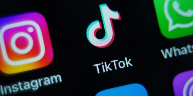 The app for TikTok on a phone screen with other social media apps