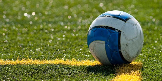 A soccer ball lays on a yellow line of a soccer field. The Egyptian Football Association has suspended a referee who used a crowd member’s phone to review a goal made in a match between Suez and Al-Nasr.
