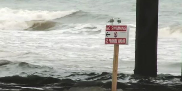 A sign under Pleasure Pier in Galveston, Texas, reads "No swimming."