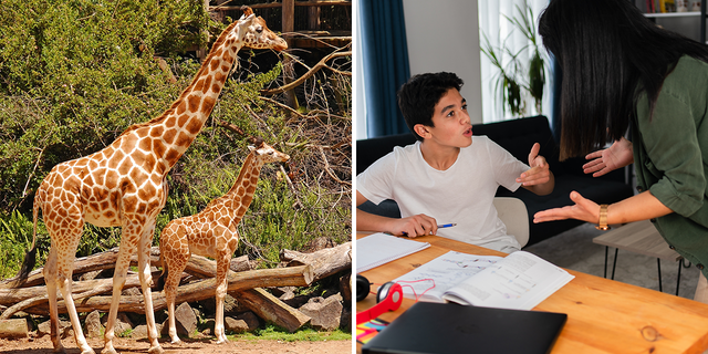 During a family's visit to a zoo, a teen (not pictured) disparaged hard manual work — so his mom came up with a novel solution.