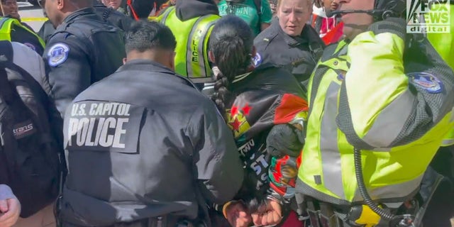 A protestor is handcuffed on Wednesday afternoon at a rally outside the Senate in Washington, D.C.