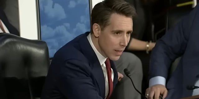 Hawley Mayorkas hearing