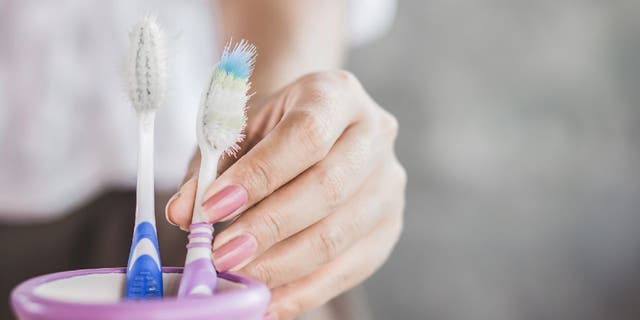 Most commercial toothbrushes are made with nylon bristles. Other bristle options include boar hair and bamboo.