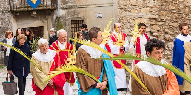 Clergy and parishioners are shown holding palms during the procession as part of a Palm Sunday service. 