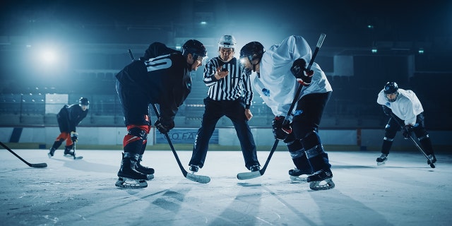 One Redditor commented about the husband, "Is he in the NHL? Otherwise, he can miss the game."