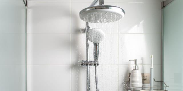 Bathroom showers are dedicated spaces where people cleanse their teeth, body and hair.