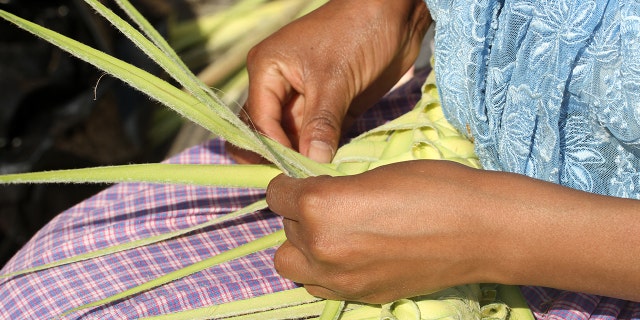 In many Christian churches, Palm Sunday is marked by the distribution of palm leaves (often tied into crosses) to the assembled worshipers.