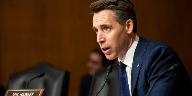 Sen.  Josh Hawley speaks from the podium in a Senate hearing.