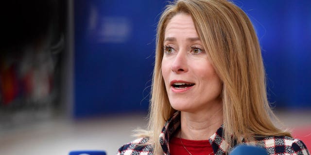 En la cumbre de Bruselas, los líderes europeos aprobaron un plan conjunto de compras para armar a Ucrania 4 El primer ministro estonio de centroderecha, Kadja Kallas, se encuentra entre varios líderes europeos que respaldan el armado rápido de las fuerzas ucranianas en la cumbre del jueves en Bruselas.