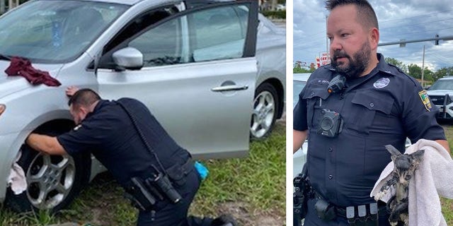 Officer Smith was able to flush the cat out of the wheel well with water. The cat was then adopted and named Marshall — after his rescuer.
