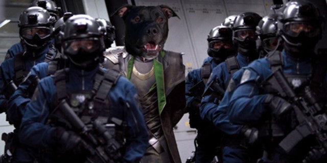 The Kansas Humane Society created this image of Loki as shown in a scene from "The Avengers."