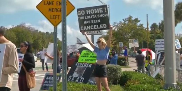 La gente había protestado por la cancelación del espectáculo de Lolita y su liberación del cautiverio.