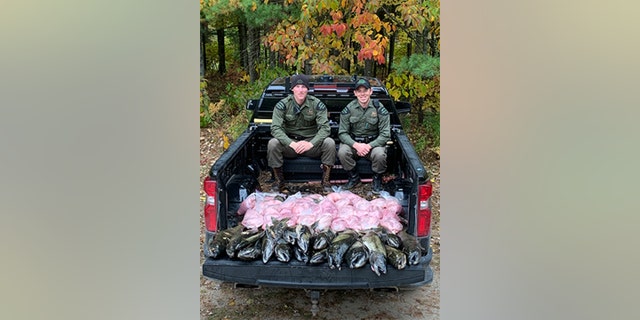 Michigan Department of Natural Resources Conservation Officers Scott MacNeill (left) and Josiah Killingbeck (right) are pictured with the 463 pounds of salmon recovered from a group of Colorado fishermen who poached the fish from the Manistee River in Manistee County back in October 2022.