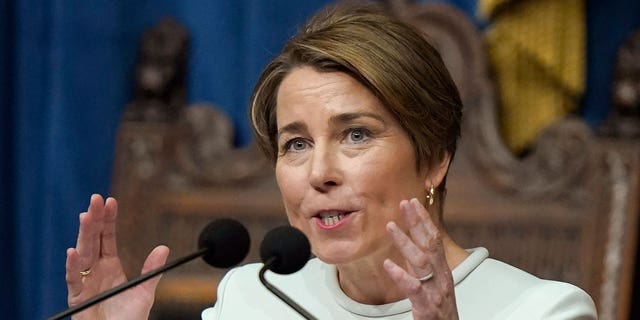 Democratic Massachusetts Gov. Maura Healey on Wednesday proposed a statewide missing persons unit.