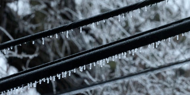 Michigan regulators are encouraging public feedback as they begin addressing recent power outages triggered by winter storms.