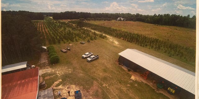 Jurors in high-profile trials like those of O.J. Simpson, Nikolas Cruz and Alex Murdaugh — whose estate is pictured above — have toured crime scenes to develop a better understanding of how their defendants may have done what they were accused of.