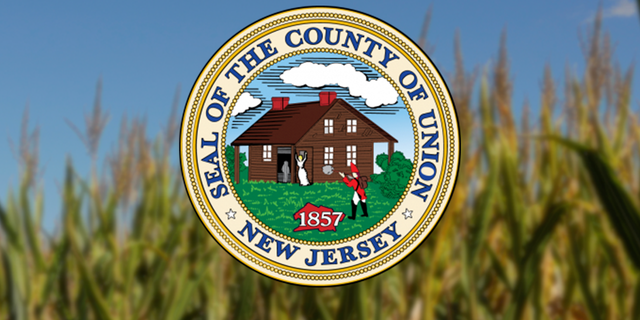 County officials in Union County, New Jersey are calling for changes to their seal over depictions of gun violence and violence against women. 