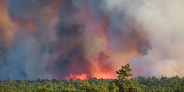 While no property damage has yet resulted from a southern New Jersey forest fire, firefighters kept their eyes on 16 at-risk homes