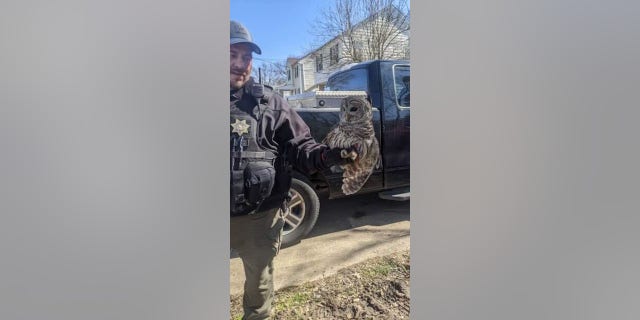 An owl was found in a family's chimney after they were evacuated due to a carbon monoxide.