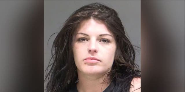 Ashlie Clark, 31, pleaded guilty to second degree assault and first degree robbery 