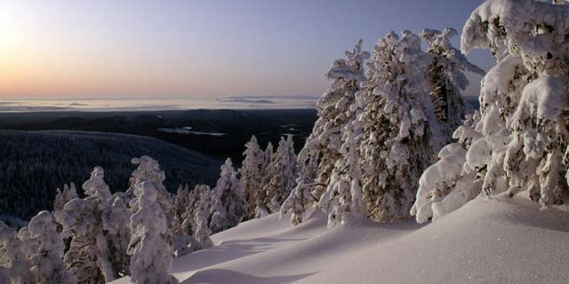 Paulina Peak, nan highest constituent of nan Newberry Volcano, is 7,984 feet astatine nan summit.