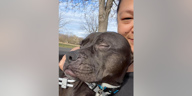 Hundreds of adoption requests came through for Lucky, but most applicants ghosted him.