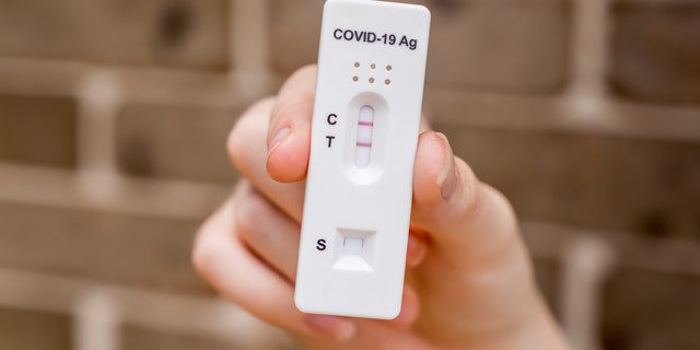 If a mother is infected with COVID during pregnancy, the senior study author recommends monitoring for any developmental delays in the infant. 