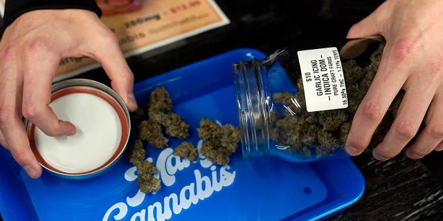 Marijuana flowers are being poured out at a medical marijuana dispensary on March 6, 2023, in Oklahoma City. Oklahoma voters will decide Tuesday on cannabis use for adults.