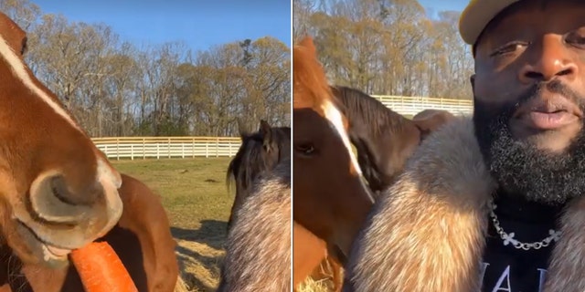 Rick Ross posted a video to Instagram where he is seen feeding carrots to several of his horses. He also calls himself "Rodeo Rick."