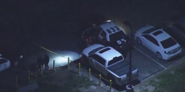 Police said no suspects have been arrested in the shooting that wounded five people at Royal Palms Beach on Saturday evening.