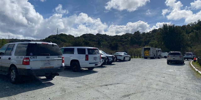 The tree fell on top of the woman around 10 a.m. Sunday at Rancho San Antonio Park in Cupertino, California, authorities said.