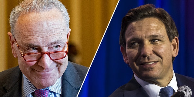 Senate Majority Leader Chuck Schumer has criticized Florida Gov. Ron DeSantis over comments he made about Russia.