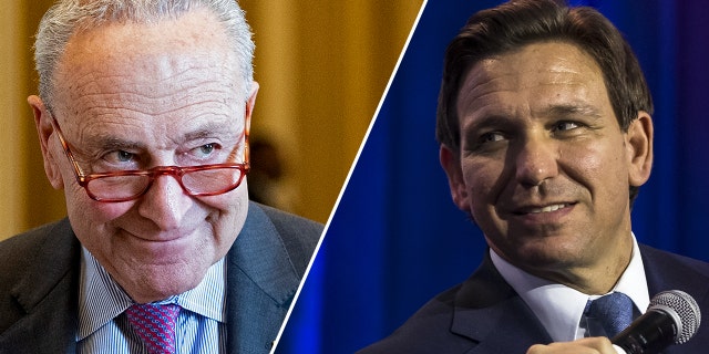 Senate Majority Leader Chuck Schumer has criticized Florida Gov. Ron DeSantis over comments he made about Russia.