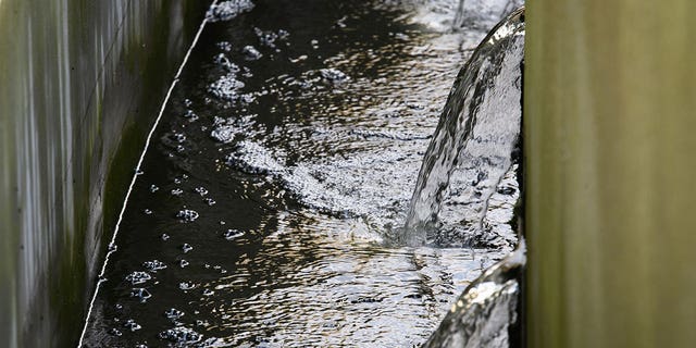 Water flows out of a sewage treatment plant in Brandenburg on Sept. 10, 2021. A study analyzing wastewater found that cocaine use has risen across Europe.