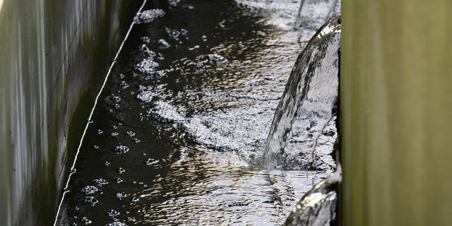 Water flows out of a sewage treatment plant in Brandenburg on Sept. 10, 2021. A study analyzing wastewater found that cocaine use has risen across Europe.