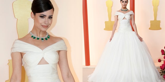 Sofia Carson wore a custom Giambattista Valli chiffon gown.