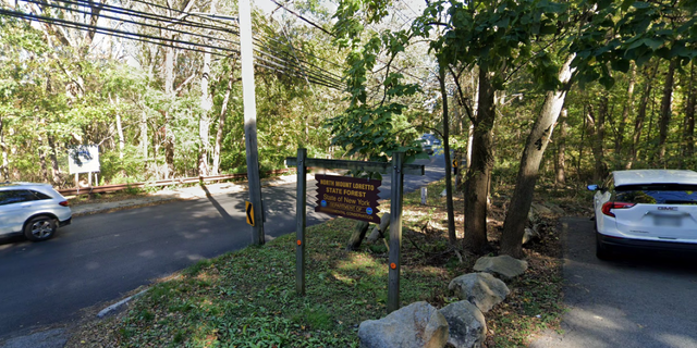 A dog walker discovered the hand near North Mount Loretto State Forest in Pleasant Plains.