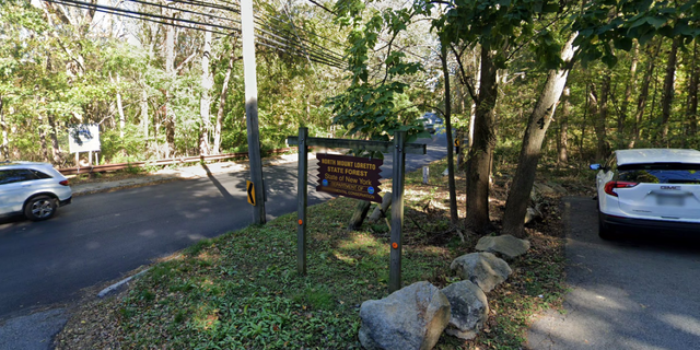 A dog walker discovered the hand near North Mount Loretto State Forest in Pleasant Plains.