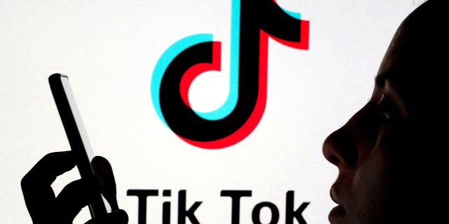 A person holds a smartphone as a Tik Tok logo is displayed in the background on Nov. 7, 2019. 
