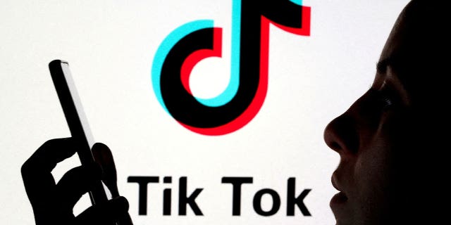 A person holds a smartphone as a Tik Tok logo is displayed in the background on Nov. 7, 2019.