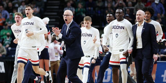 Head coach Dan Hurley of the Connecticut Huskies reacts with his team after a play in the first half against the Iona Gaels during the first round of the NCAA Tournament at MVP Arena March 17, 2023, in Albany, N.Y.