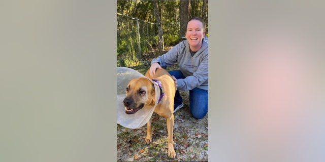 Rescue Dogs Dreams took Lena into their care — the rescue was able to pay for her keloid removal and find her a new home.
