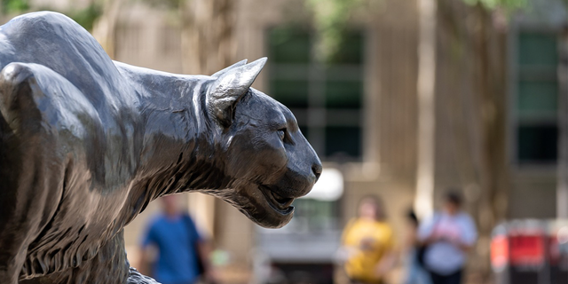Maskot Universitas Houston, seorang cougar.