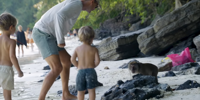 MIRA: Papá pelea con monos agresivos en Tailandia después de que se escabullen en las camas 4 Riley Whitlum, la mitad de la influyente pareja detrás de la cuenta Sailing La Vagabonde, se encontró con monos en Tailandia después de que ahuyentaran a sus hijos.