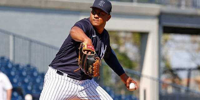 Wandy Peralta of the New York Yankees during spring training at George M. Steinbrenner Field on Feb. 20, 2023, in Tampa, Florida.